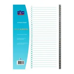 ΔΙΑΧΩΡΙΣΤΙΚΑ EX-OFFICE 1-31 PP Α4 ΓΚΡΙ