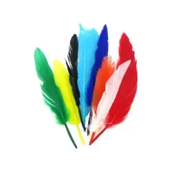 ΦΤΕΡΑ 30 ΕΚΑΤ 4ΤΕΜ