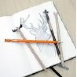 ΣΕΤ 4 ΜΟΛΥΒΙΑ ΜΕ ΖΩΑ ΤΟΥ ΔΑΣΟΥΣ KIKKERLAND