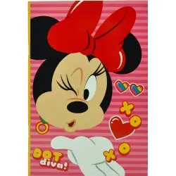 ΤΕΤΡΑΔΙΟ 17Χ25 MINNIE