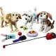 LEGO Creator 3in1 Adorable Dogs (31137)