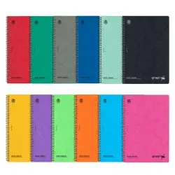 GRAPHIX ΤΕΤΡΑΔΙΟ ΣΠΙΡΑΛ A4 2 ΘΕΜΑΤΩΝ