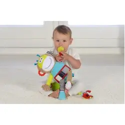 DOLCE ΕΚΠΑΙΔΕΥΤΙΚΗ ΜΑΪΜΟΥ