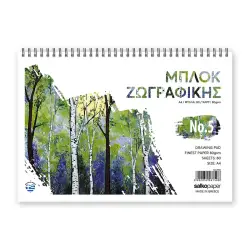 ΜΠΛΟΚ ΖΩΓΡΑΦΙΚΗΣ Α4 80 ΦΥΛΛΑ