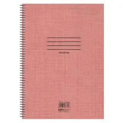 ΤΕΤΡΑΔΙΑ ΜΟΝΟ ΣΠΙΡΑΛ COLORLINE