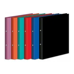ΚΛΑΣΕΡ ΣΧΟΛΙΚΑ / SCHOOL RINGS BINDERS