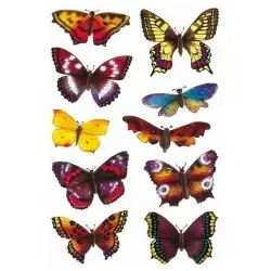 ΑΥΤΟΚΟΛΛΗΤΑ HERMA DECOR ΠΕΤΑΛΟΥΔΕΣ