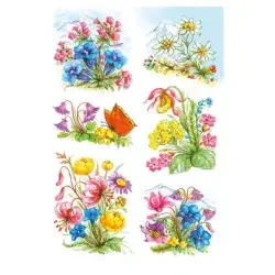 HERMA DECOR ΑΥΤΟΚΟΛΛΗΤΑ ΛΟΥΛΟΥΔΙΑ