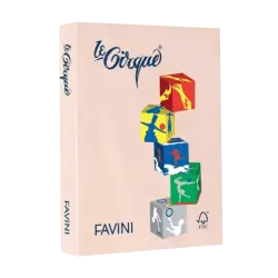 FAVINI ΧΑΡΤΙ Α4 160gsm ΣΟΜΟΝ ΠΑΣΤΕΛ 250 ΦΥΛΛΑ