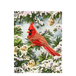 DIAMOND DOTZ ΚΑΤΑΣΚΕΥΗ ΨΗΦΙΔΩΤΟ ΚΑΜΒΑΣ BLISTER 35.5x45.5cm ΚΑΡΔΙΝΑΛΙΟΣ