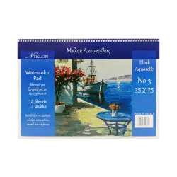 NTELON ΜΠΛΟΚ ΑΚΟΥΑΡΕΛΑΣ ΣΠΙΡΑΛ ΠΛΑΓΙΟ 12 ΦΥΛΛΑ Νο3 25x35cm 220gsm  (Το προιόν πωλείται σε μεμονωμένα τεμάχια του ενός)