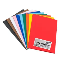 FOLIA ΧΑΡΤΟΝΙ Α4 220gsm ΑΣΣΟΡΤΙ 100 ΦΥΛΛΑ