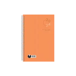 ΕΒΔΟΜΑΔΙΑΙΟ ΗΜΕΡΟΛΟΓΙΟ ΣΠΙΡΑΛ 2024 ΜΕ ΠΛΑΝΕΡ ΤΟΥ 2025 14Χ21