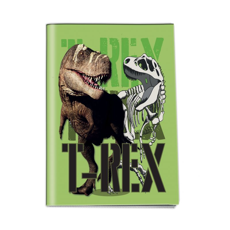 ΤΕΤΡΑΔΙΟ ΚΑΡΦΙΤΣΑ 17x25 50φ. 231003 2023