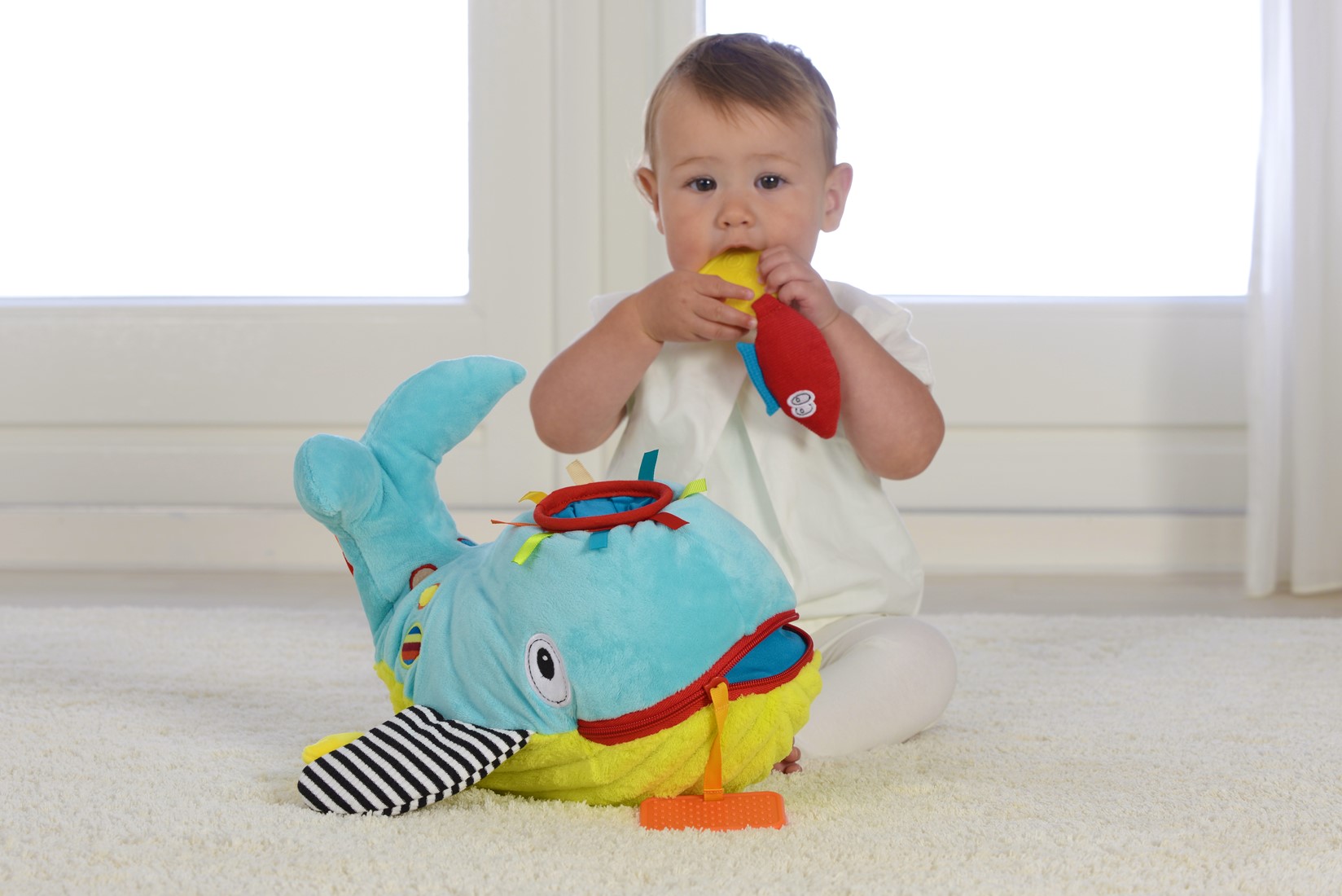 DOLCE ΕΚΠΑΙΔΕΥΤΙΚΗ ΦΑΛΑΙΝΑ