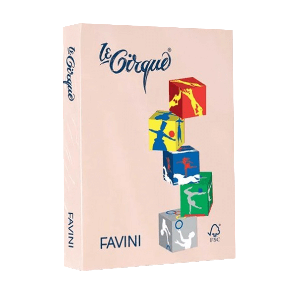 FAVINI ΧΑΡΤΙ Α4 160gsm ΣΟΜΟΝ ΠΑΣΤΕΛ 250 ΦΥΛΛΑ
