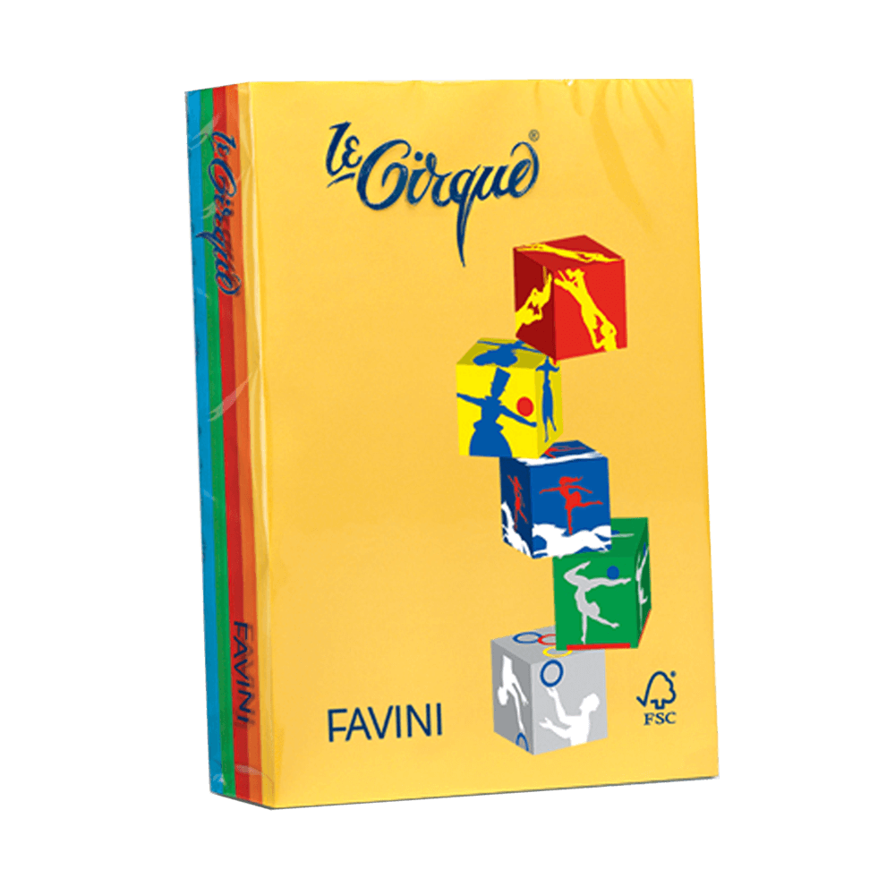 FAVINI ΧΑΡΤΙ Α4 160gsm ΑΣΣΟΡΤΙ ΕΝΤΟΝΑ 250 ΦΥΛΛΑ