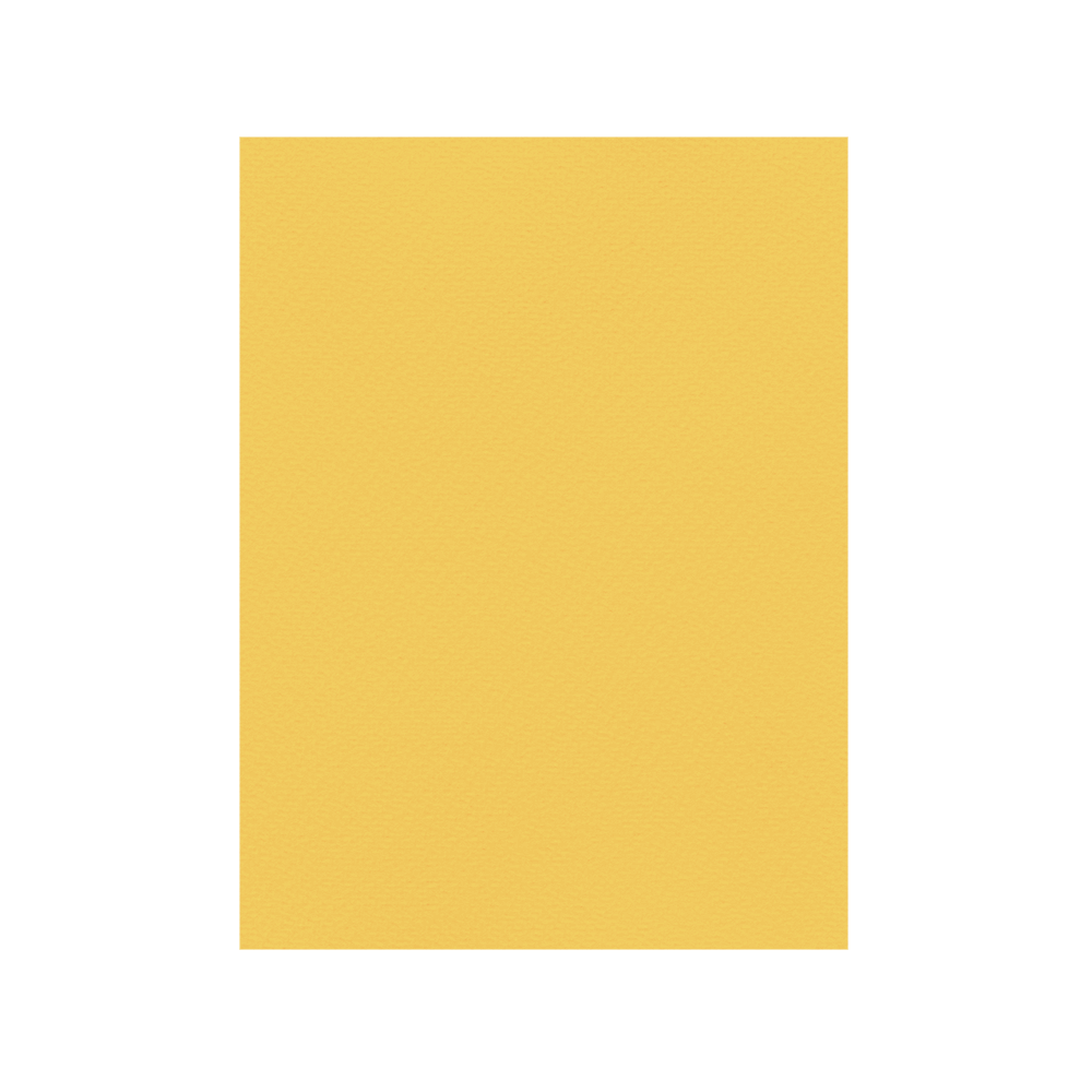 FAVINI ΧΑΡΤΟΝΙ 50x70cm 220gsm ΚΙΤΡΙΝΟ ΑΠΑΛΟ Νο02