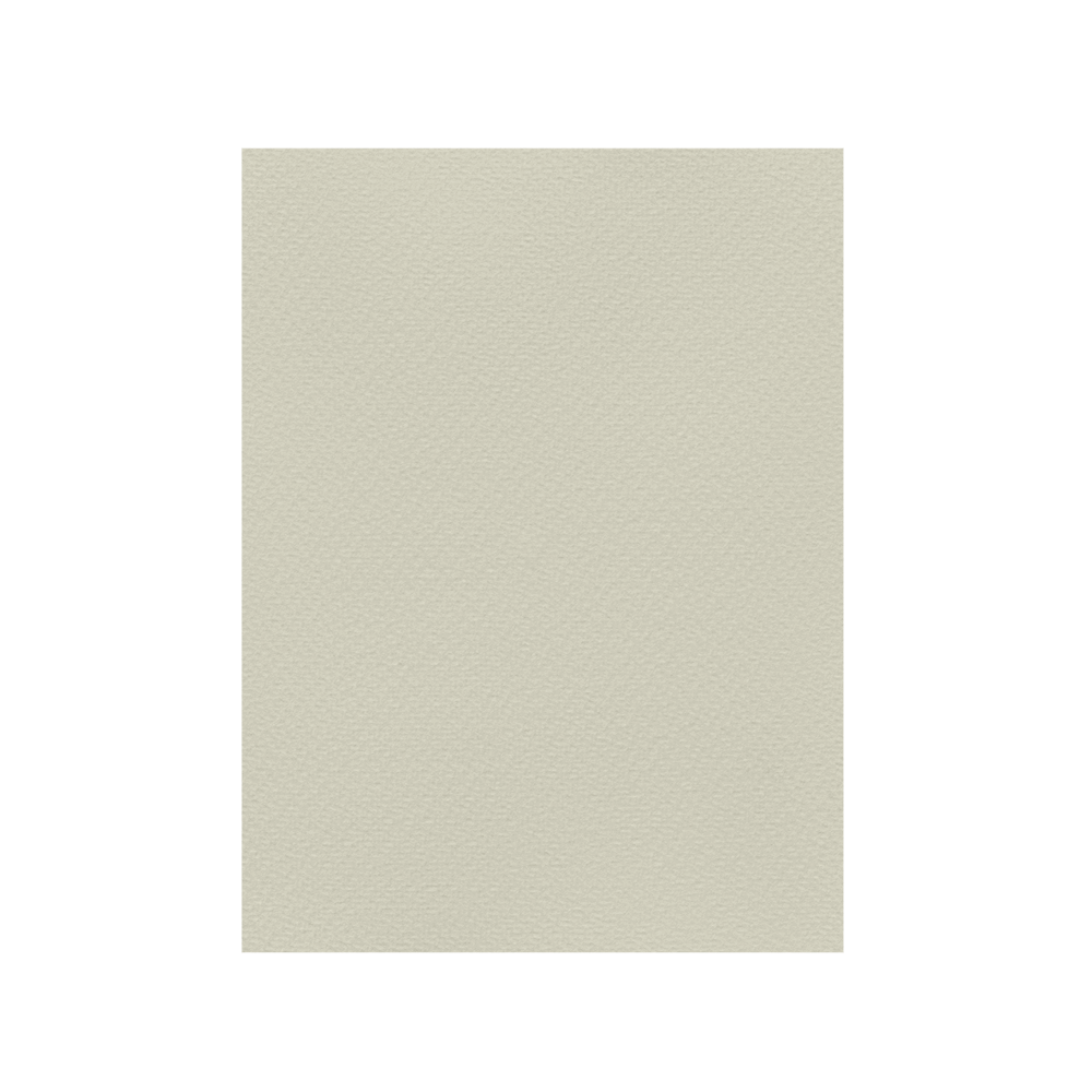 FAVINI ΧΑΡΤΟΝΙ 50x70cm 220gsm ΓΚΡΙ Νο06