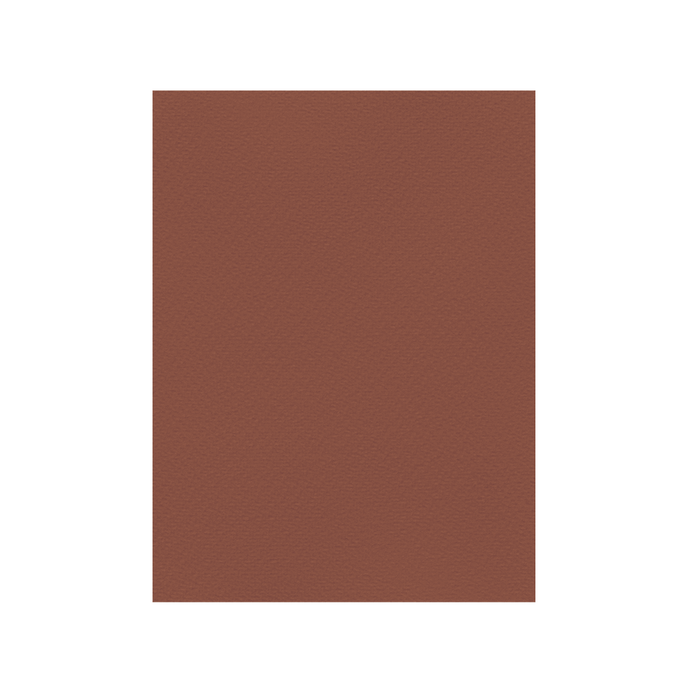 FAVINI ΧΑΡΤΟΝΙ 50x70cm 220gsm ΚΑΦΕ ΣΟΚΟΛΑΤΙ Νο11