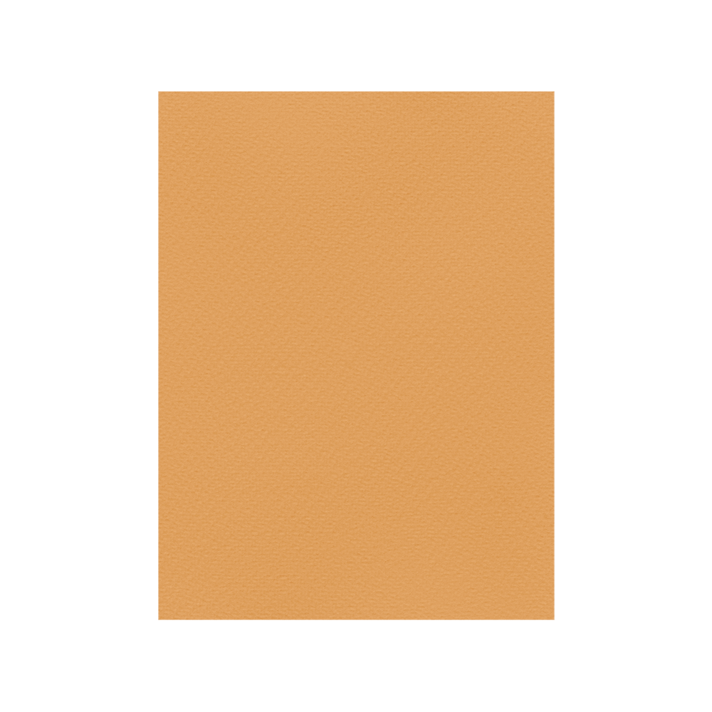 FAVINI ΧΑΡΤΟΝΙ 50x70cm 220gsm TABACCO Νο12