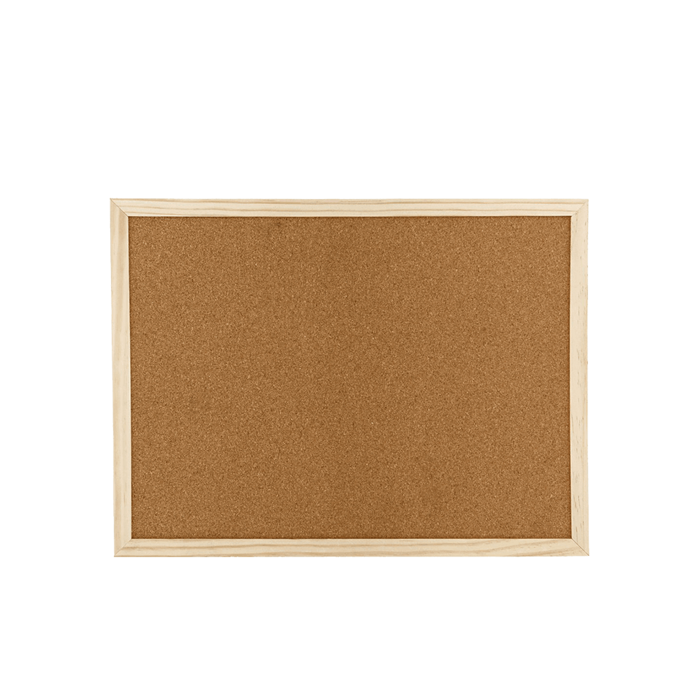 METRON ΠΙΝΑΚΑΣ ΦΕΛΛΟΥ ΞΥΛINO ΠΛΑΙΣΙΟ 40x60cm