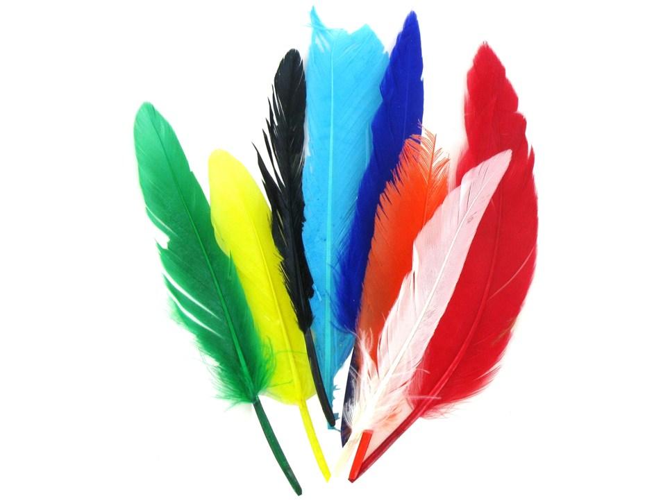 ΦΤΕΡΑ 30 ΕΚΑΤ 4ΤΕΜ