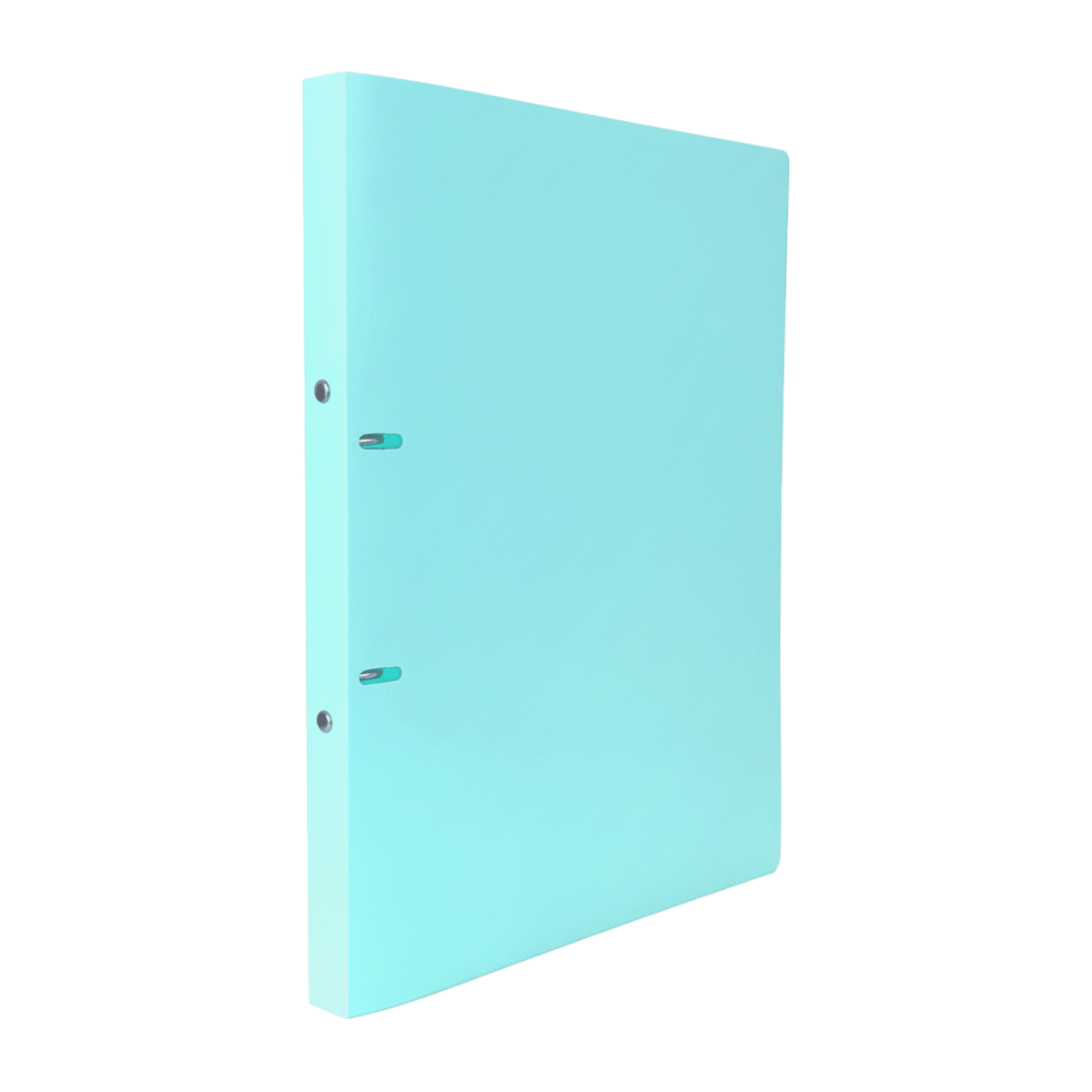 SALKO ΚΛΑΣΕΡ Α4 ΠΑΣΤΕΛ ΧΡΩΜΑΤΑ  2 ΚΡΙΚΟΙ