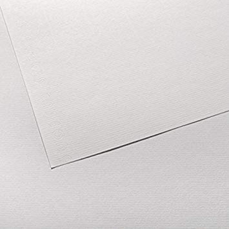 ΧΑΡΤΙ CANSON INGRES 50x65 100gr WHITE