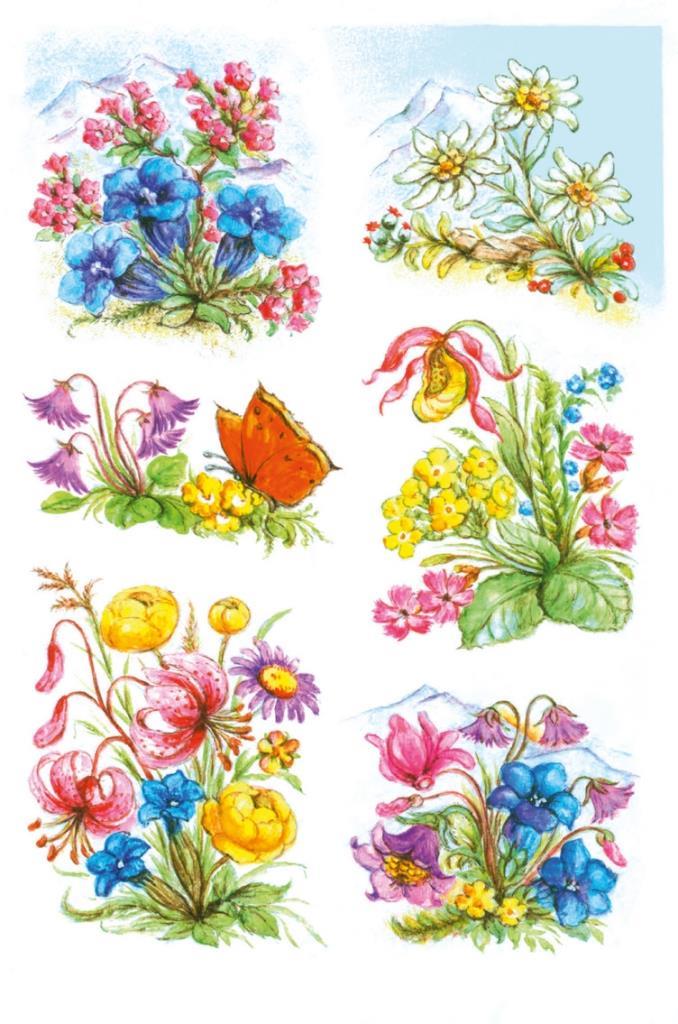 HERMA DECOR ΑΥΤΟΚΟΛΛΗΤΑ ΛΟΥΛΟΥΔΙΑ